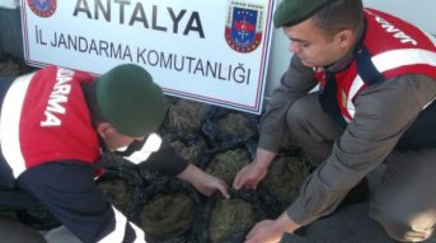 Alanya'da 25 Kilogram Esrar Ele Ge&ccedil;irildi