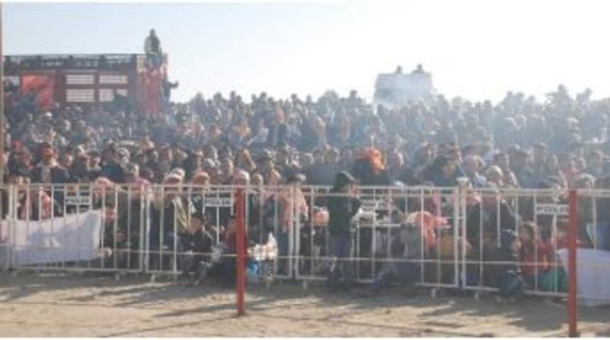 Pehlivan Develer Aydın Arenasında Kıyısaya M&uuml;cadele Etti