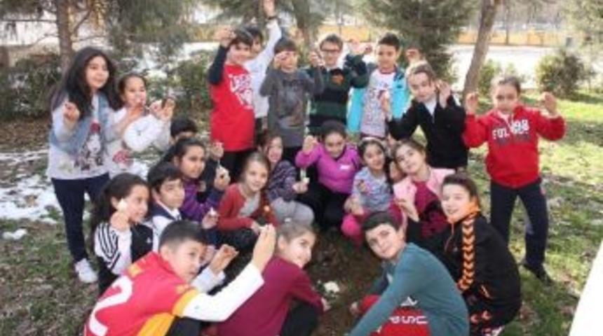 Gkv&rsquo;liler İlkbaharı Lalelerle Karışlayacak