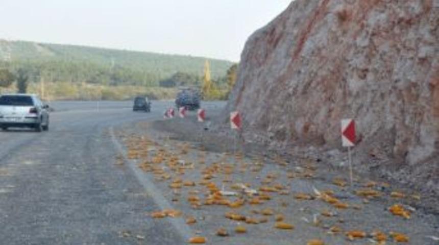 Soma-kırkağa&ccedil; Yolu Mısır Tarlasına D&ouml;n&uuml;şt&uuml;