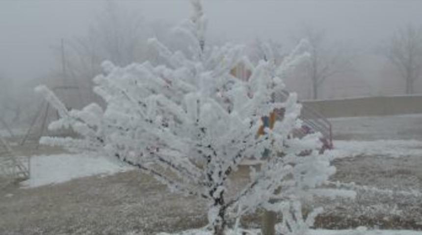 Kışın G&uuml;zelliği