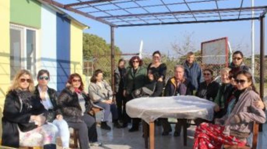 Hayvan Severler K&ouml;pek Barınağında Buluştu