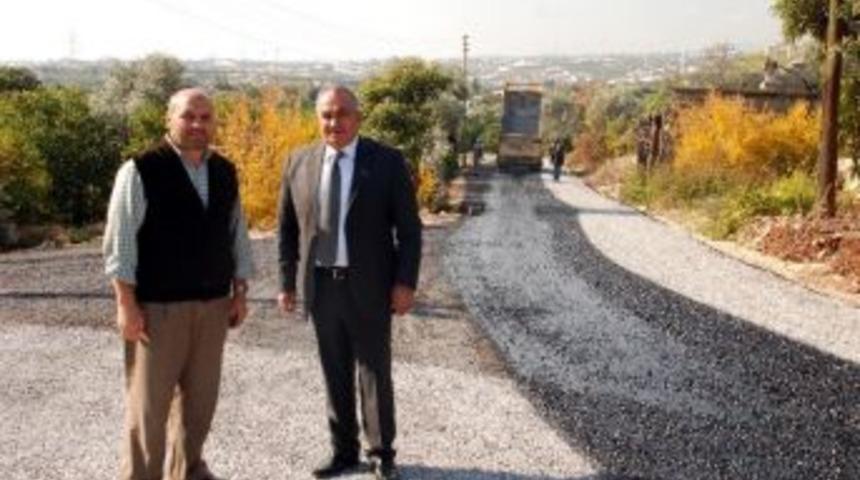 Başkan Tollu Yaptıkları Çalışmaları Anlattı