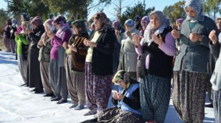 Silifkeli &Ccedil;ift&ccedil;iler Yağmur Duasına &Ccedil;ıktı