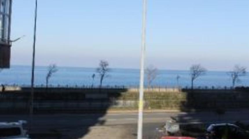 Direkler Yol Ortasında Unutuldu