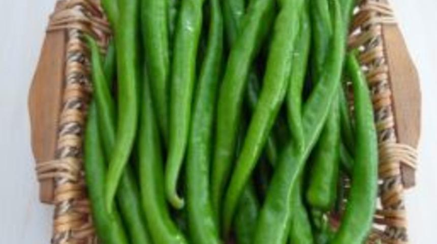 BATEM, Yeni Geliştirilen Biber Ve Patlıcan Hibrit &Ccedil;eşitlerini Tanıtacak