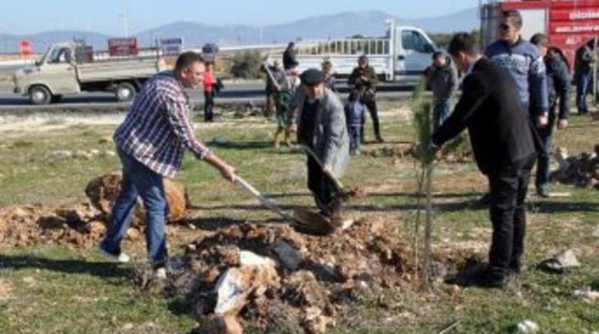 Didim 75 Gen&ccedil;lik Oluşumdan Doğaya Katkı