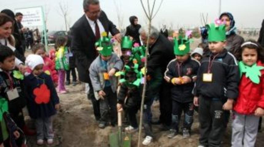 Karatay&rsquo;da Ağa&ccedil;landırma &Ccedil;alışmaları