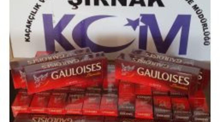 Şırnak'ta Ka&ccedil;ak&ccedil;ılık Operasyonu: 9 Kişi Hakkında Adli Işlem Yapıldı