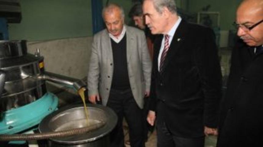 Altepe&rsquo;den Zeytincilere Destek