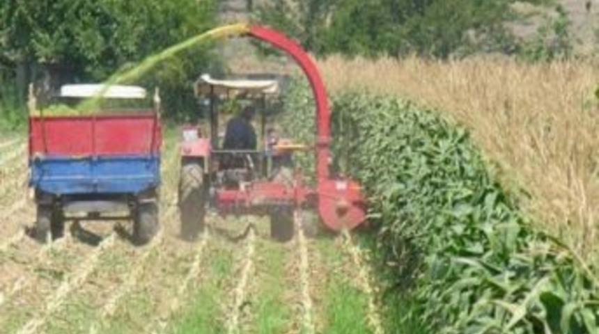 Dalaman&rsquo;da 95 &Uuml;reticiye 219 Bin Tl Yem Desteği