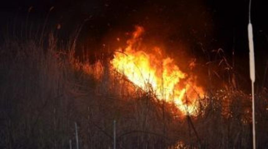 5 D&ouml;n&uuml;m Sazlık K&uuml;l Oldu