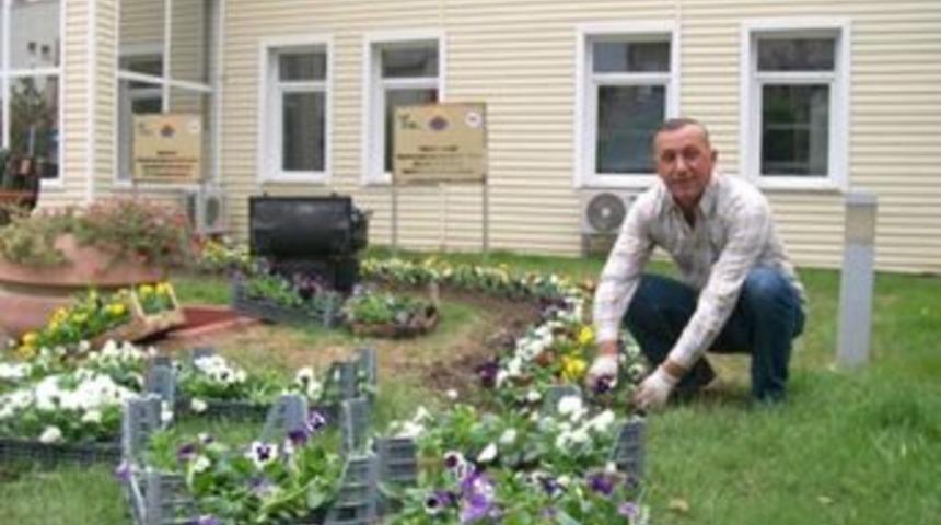 Hayrabolu Belediyesi 16 Bin Hercai Menekşesi Dikti