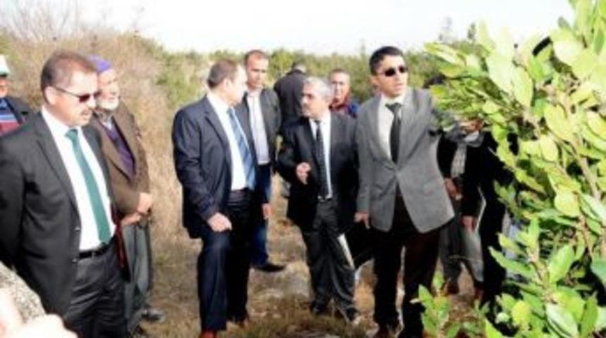 Odun Dışı &Uuml;r&uuml;nler 11 Ayda 194 Bin Lira Gelir Getirdi