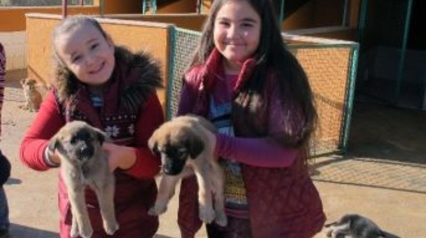 Minik Kursiyerlerden Barınağa &Ouml;rnek Ziyaret