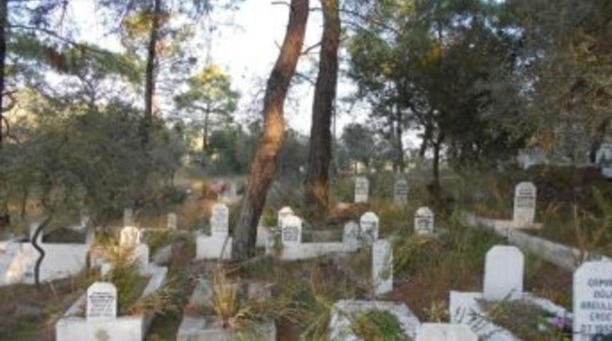 Bodrum&rsquo;da Mezarlıkların G&ouml;r&uuml;nt&uuml;s&uuml; Değişiyor