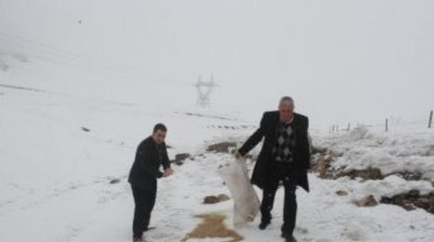 Aç Kalan Yaban Hayvanlarına Yardım Eli