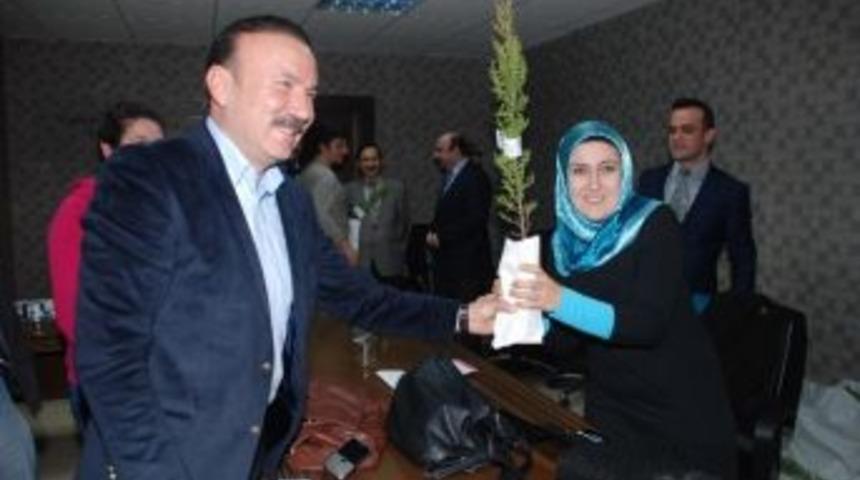 İzmit Belediyesi&rsquo;nden 20 Bin &Uuml;cretsiz Fidan