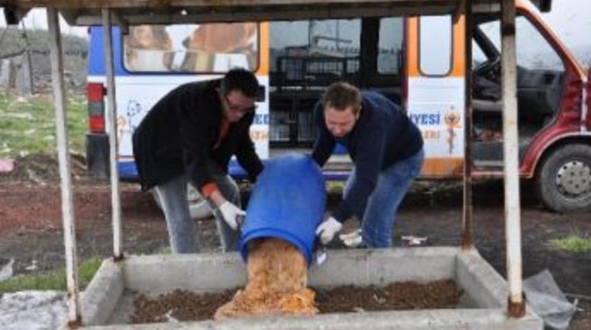 Malkara&rsquo;da Sokak Hayvanlarına Sahip &Ccedil;ıkılıyor