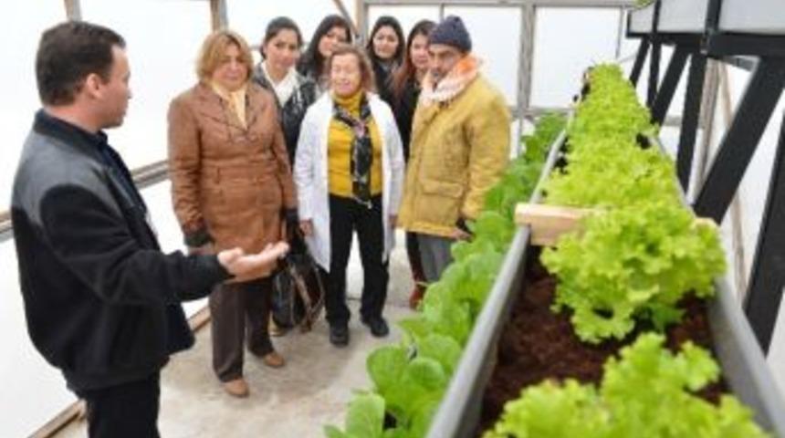 İzmir B&uuml;y&uuml;kşehir Belediyesinden 'topraksız Tarım Kursu'