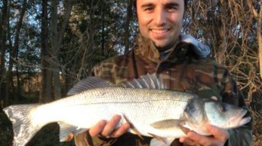 Sinop&rsquo;ta Amat&ouml;r Balık&ccedil;ı Oltayla 20 Kiloluk Levrek Yakaladı