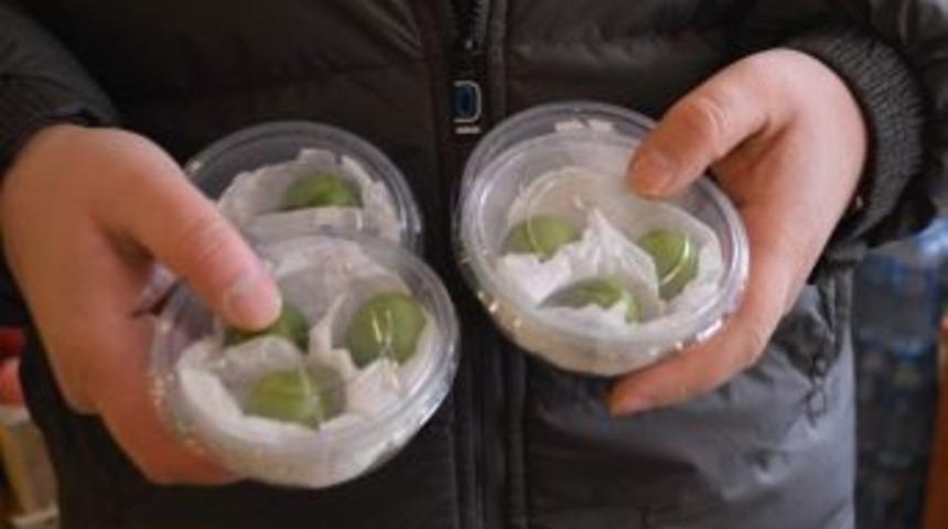 Altınla Yarışan Eriğin Fiyatı S&uuml;rekli Artıyor