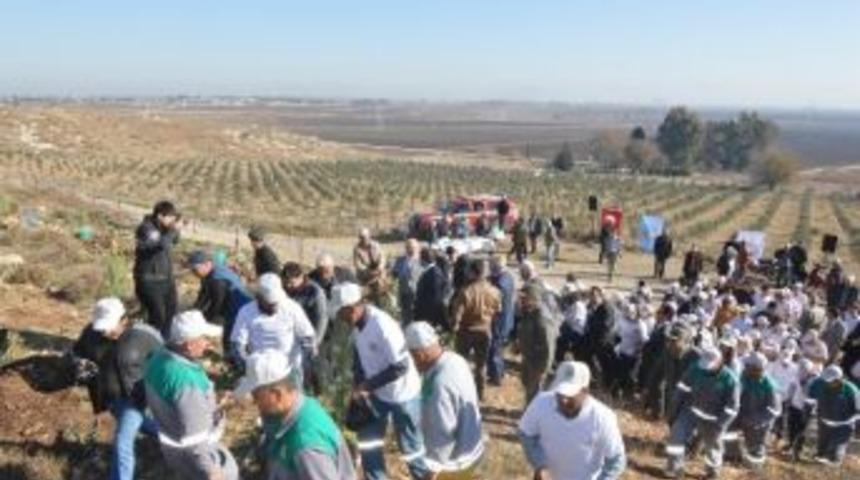 Ceyhana 107 Bin Ağa&ccedil; Fidanı Dikiliyor