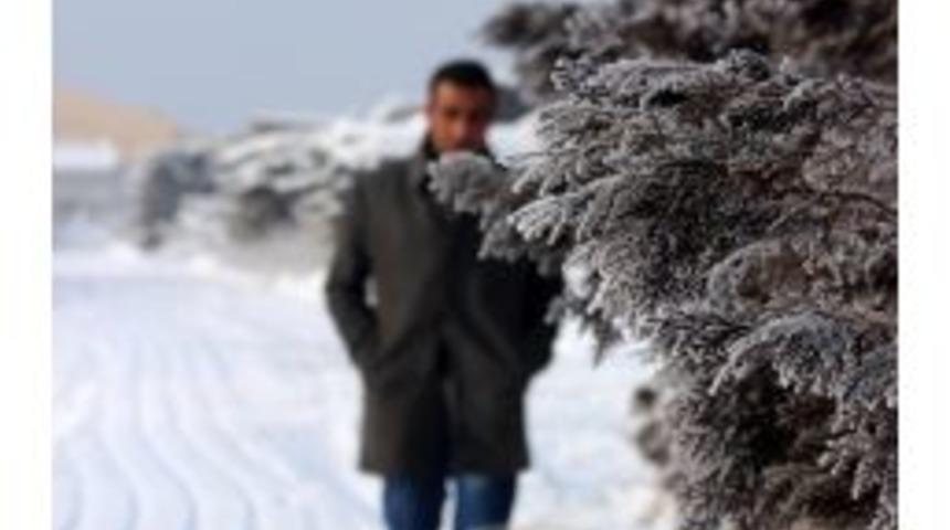 Ağrı'da Ara&ccedil;lar Donmasın Diye Gece &Ccedil;alışır Vaziyette Bırakılıyor