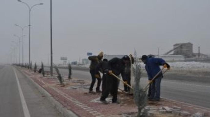 Cihanbeyli&rsquo;de Ref&uuml;j &Ccedil;alışmalarında Sona Gelindi