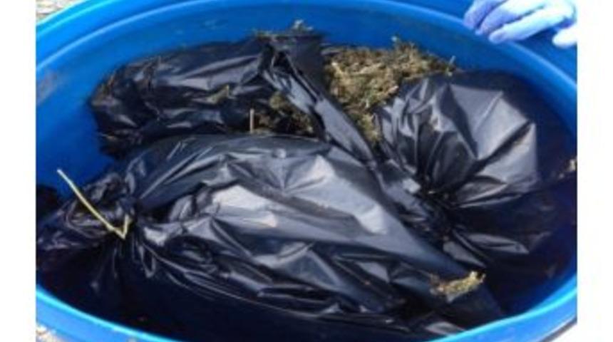 Adana'da 270 Kilo Uyuşturucu Ele Ge&ccedil;irildi