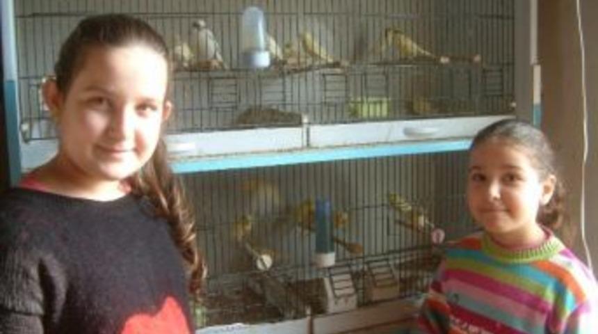 Balyalı Kardeşlerin Hayvan Sevgisi