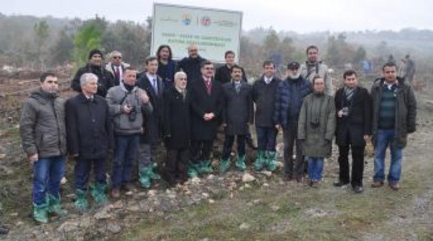 Balıkesir'de Yaklaşık 3,5 Milyon Adet Fidan Dikilecek