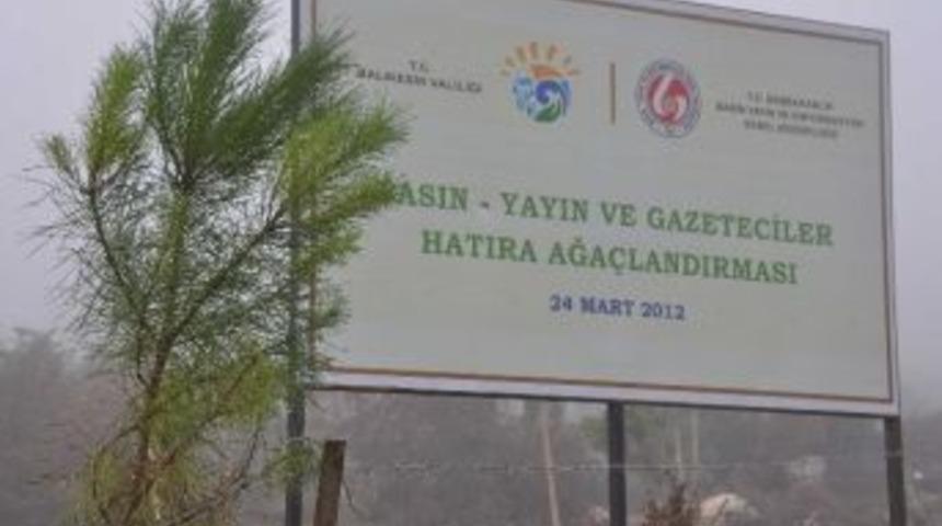 Balıkesir'de Basın Yayın Ve Gazeteciler Hatıra Ormanı Kuruldu