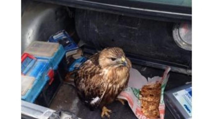 Yaralı Şahin&rsquo;e Vatandaş Sahip &Ccedil;ıktı