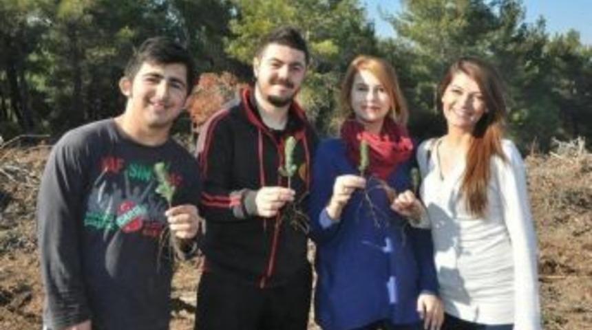 Kırkağa&ccedil; Myo &Ouml;ğrencileri 2 Bin Fidan Dikti