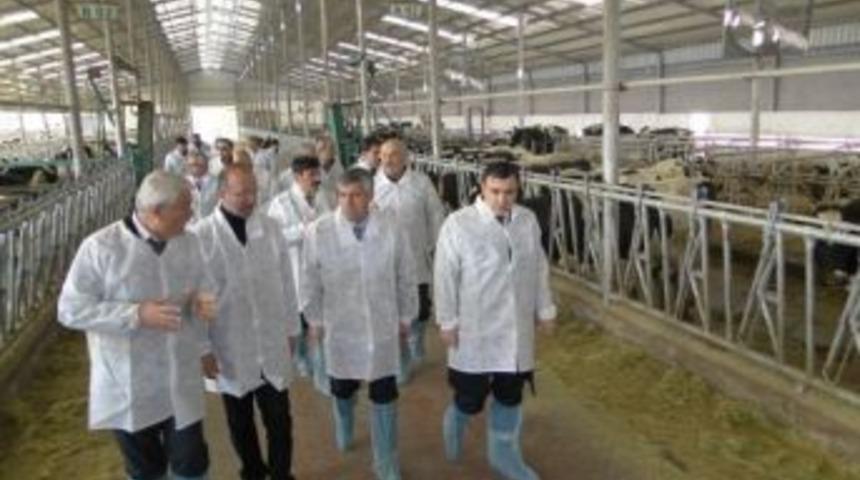 Malatya&rsquo;da Bir İşletmeye İlk Kez Hastalıktan Ari İşletme Belgesi Verildi