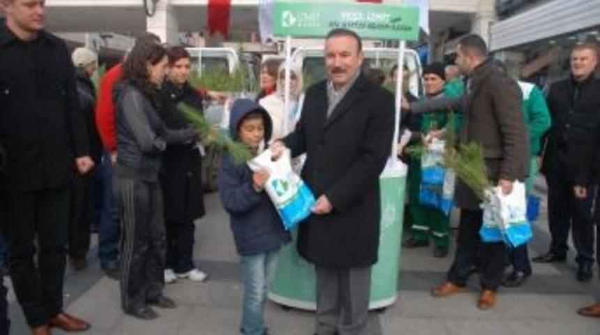 İzmit Belediyesi Fidan Dağıtımına Başladı