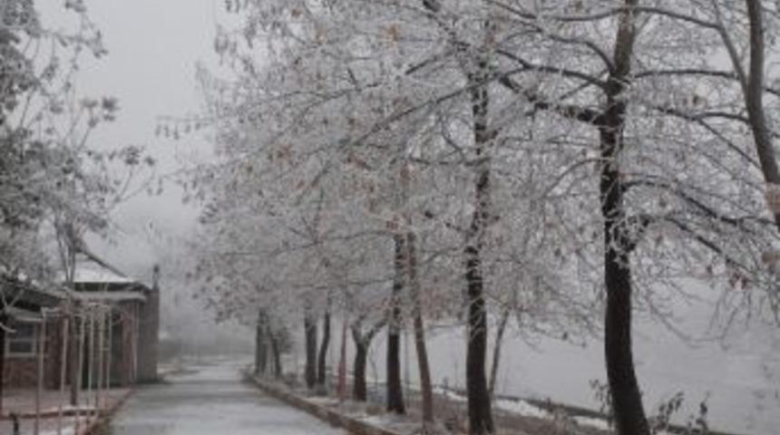 Tokat'ta Ağa&ccedil;lar Buz Tuttu