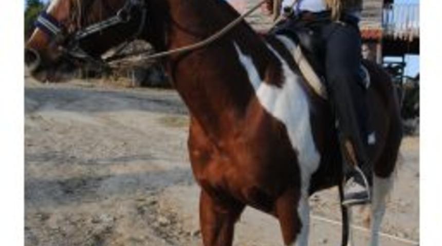 At Safari Turlarıyla Turistler Torosların Doğal G&uuml;zelliğini G&ouml;r&uuml;yor