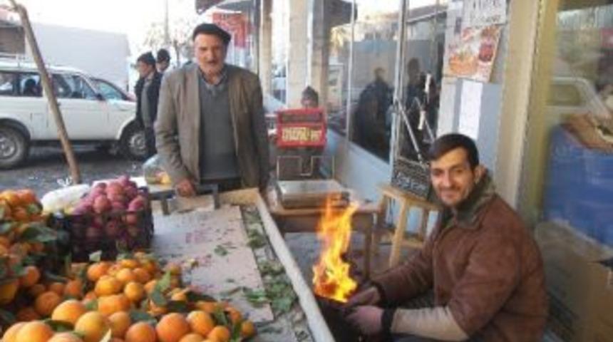 Narman'da Soğuk Hava Manavları Vurdu