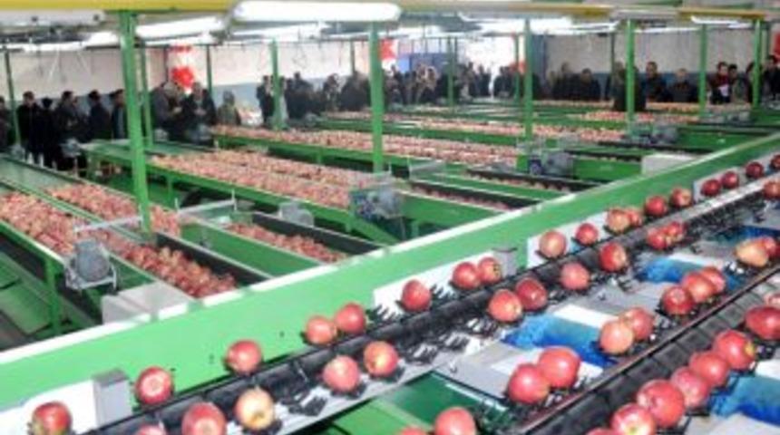 Eğirdir'de 1 Milyon TL'lik Elma Tasnifleme Tesisi Kuruldu