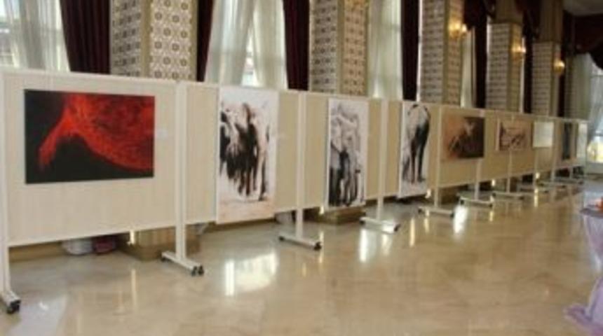 Maltepe&rsquo;de &ldquo;Serin Sudaki &Ccedil;akıl Taşı&rdquo; sergisi