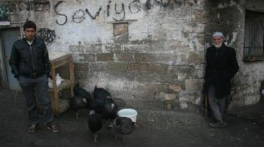 Silvan&rsquo;da Yılbaşı Hindileri Satışa &Ccedil;ıktı