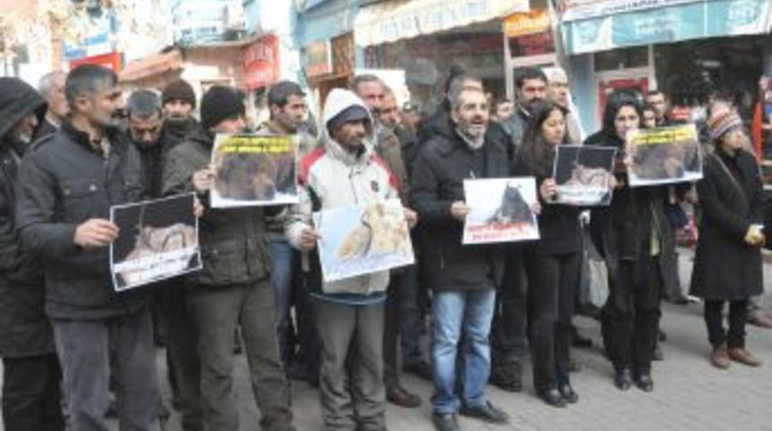 Tunceli'de Ka&ccedil;ak Av Tepkisi