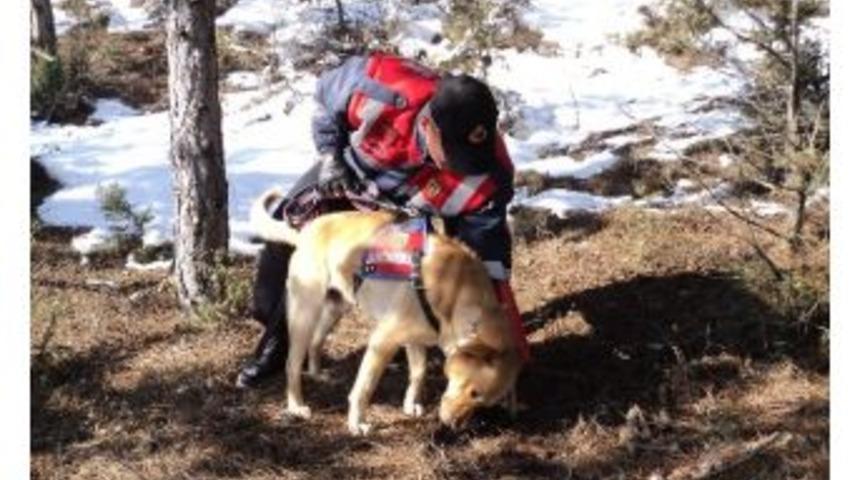 Jandarma, Kaybolan Yaşlı Adamı Buldu