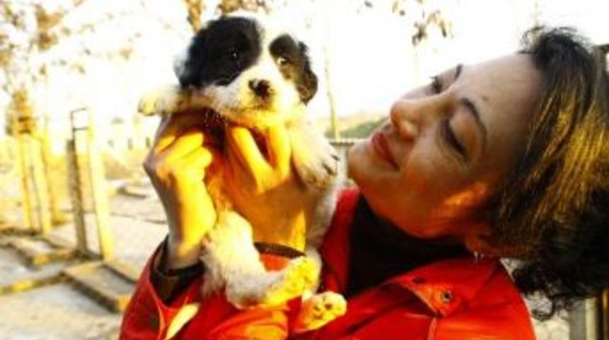 &ldquo;sahiplenmek İ&ccedil;in Barınaklara Gidin&rdquo;