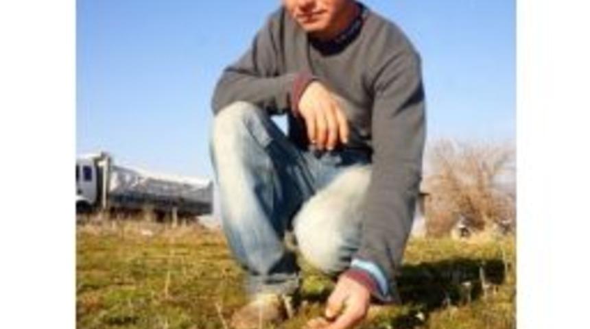 Sarıgöl’de Papatyalar Açtı