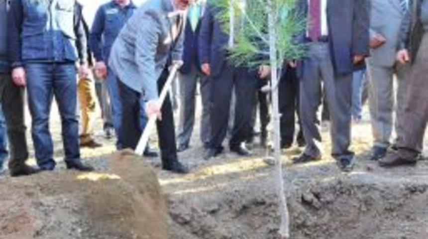 Osmaniye-Gaziantep Otoyolu &Ccedil;evresi Ağa&ccedil;landırılıyor