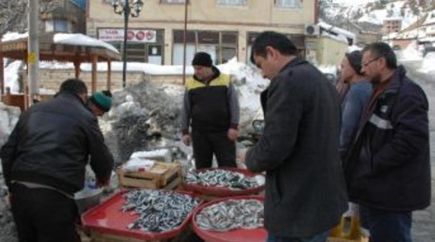 K&uuml;re'de balık ziyafeti