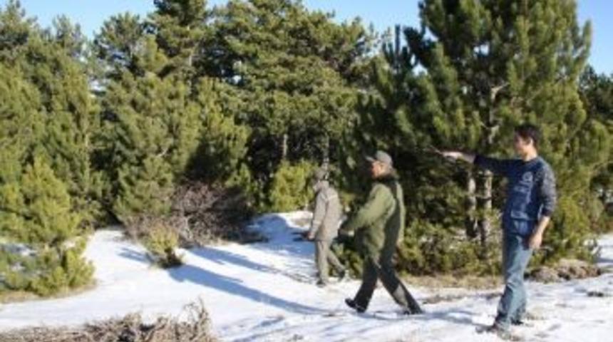 Orman Koruma Tipleri G&ouml;rev Başında